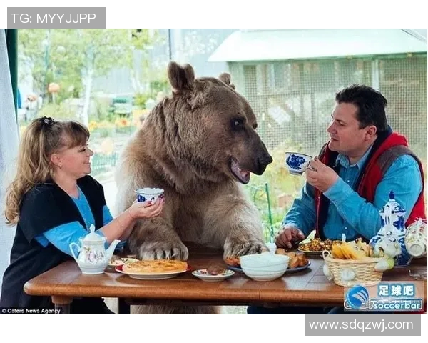 熊孩子与足球明星的奇幻冒险之旅在绿茵场上追逐梦想与友谊 熊孩子与足球明星的奇幻冒险之旅在绿茵场上追逐梦想与友谊