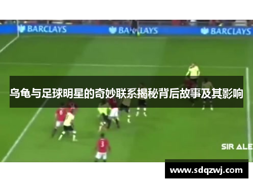 乌龟与足球明星的奇妙联系揭秘背后故事及其影响