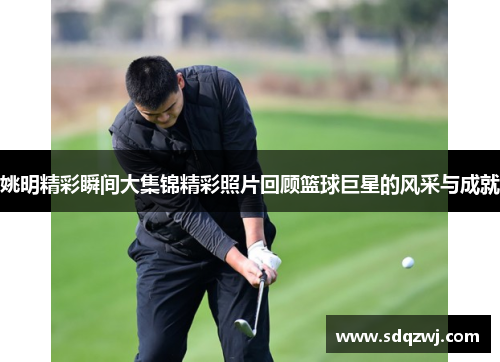 姚明精彩瞬间大集锦精彩照片回顾篮球巨星的风采与成就