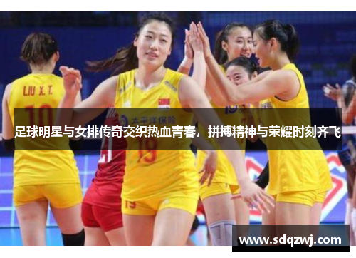 足球明星与女排传奇交织热血青春，拼搏精神与荣耀时刻齐飞