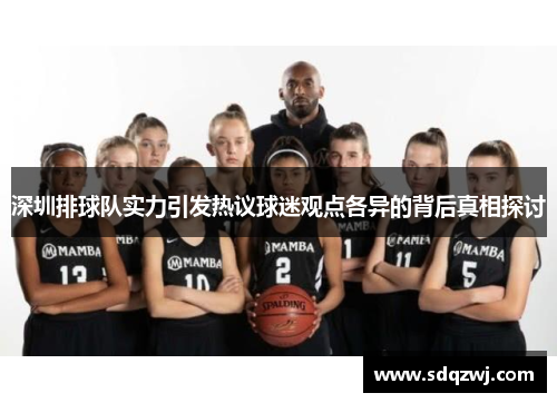 深圳排球队实力引发热议球迷观点各异的背后真相探讨