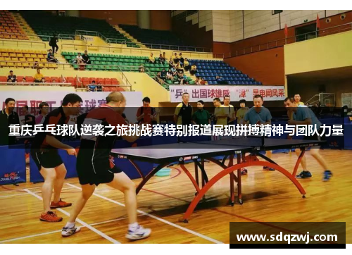 重庆乒乓球队逆袭之旅挑战赛特别报道展现拼搏精神与团队力量