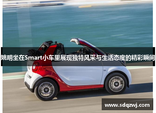 姚明坐在Smart小车里展现独特风采与生活态度的精彩瞬间