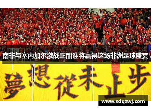 南非与塞内加尔激战正酣谁将赢得这场非洲足球盛宴