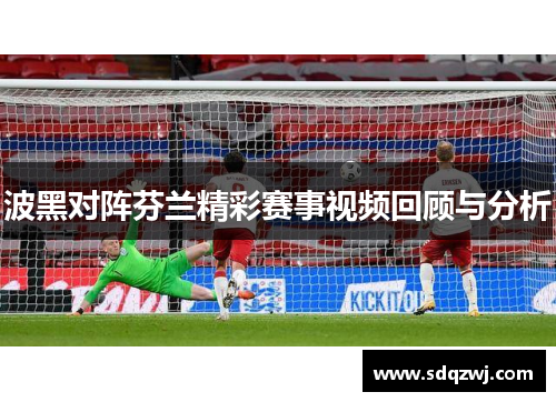 波黑对阵芬兰精彩赛事视频回顾与分析